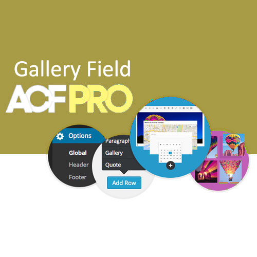 Advanced Custom Fields