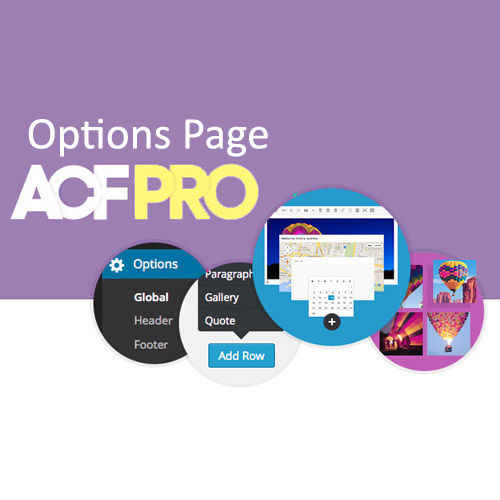 Advanced Custom Fields