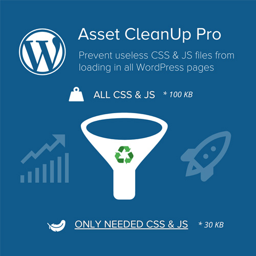 Asset CleanUp Page Speed