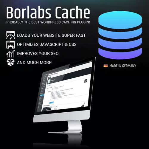 Borlabs Cache – WordPress