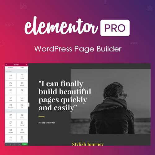 Elementor PRO