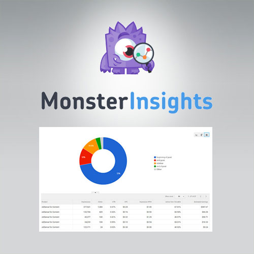 MonsterInsights