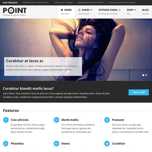 MyThemeShop Point