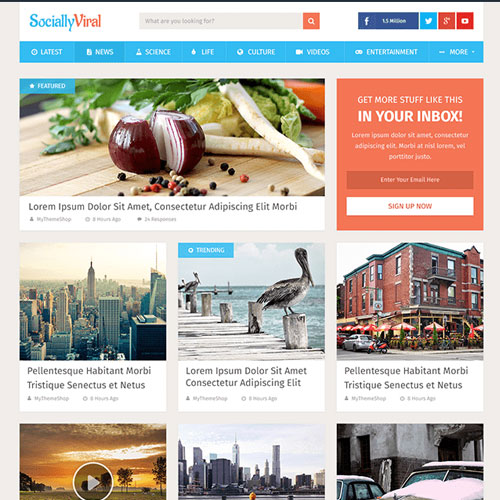 MyThemeShop SociallyViral