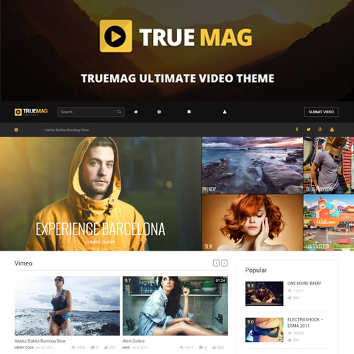 True Mag – WordPress