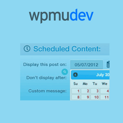 WPMU DEV Schedule