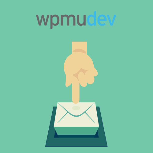 WordPress Multilingual