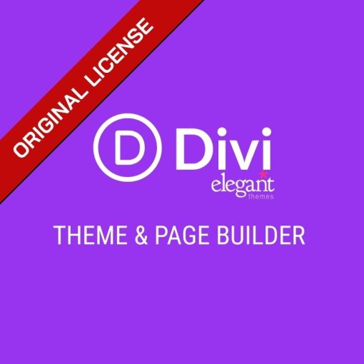 Divi Theme